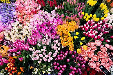 迪士尼新片《小美人鱼》今日上线国内视频平台 腾讯视频等全网首播